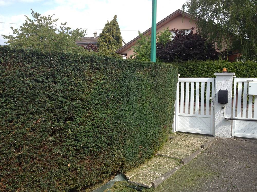 Entretien- espace- vert -Sausheim (54)