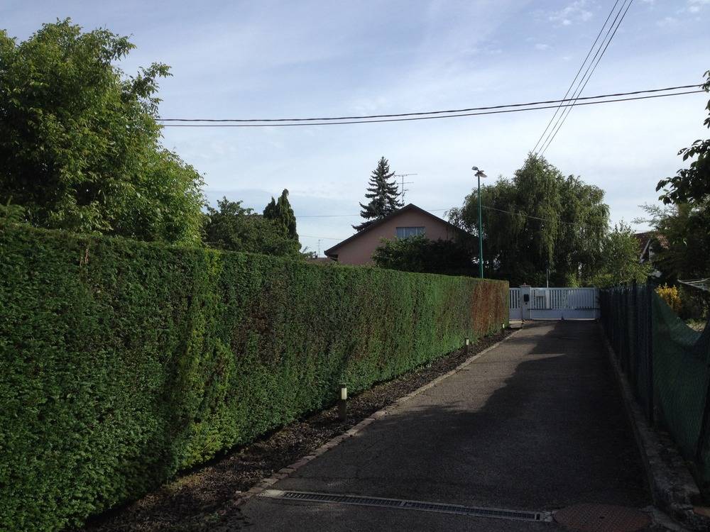 Entretien- espace- vert -Sausheim (57)