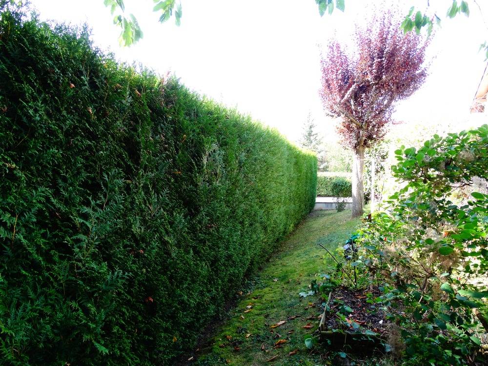 Entretien- espace- vert -Belfort (16)