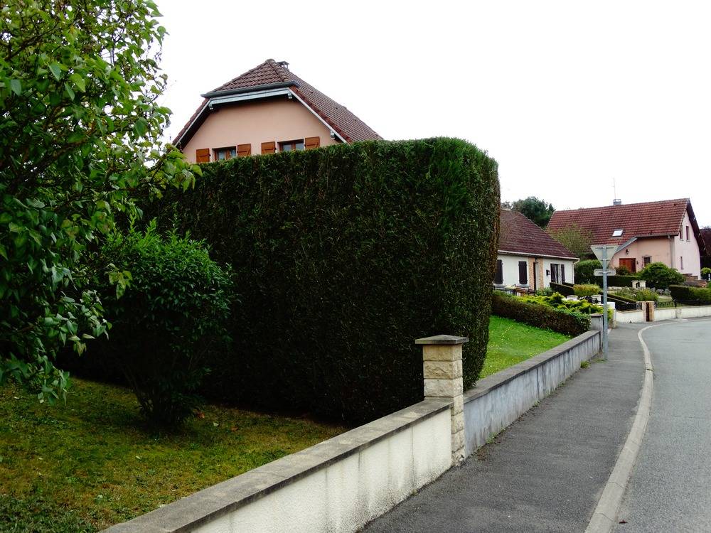 Entretien- espace- vert -Belfort (24)