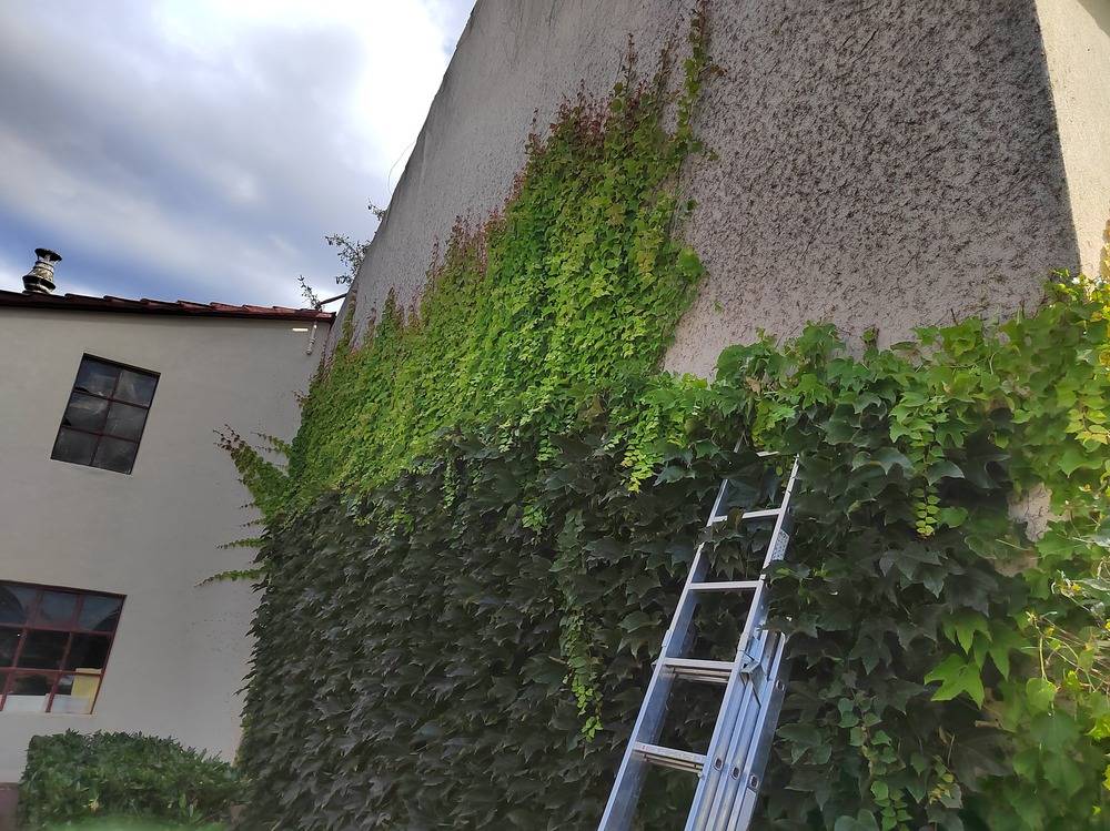 Entretien- espace- vert -Belfort  (3)