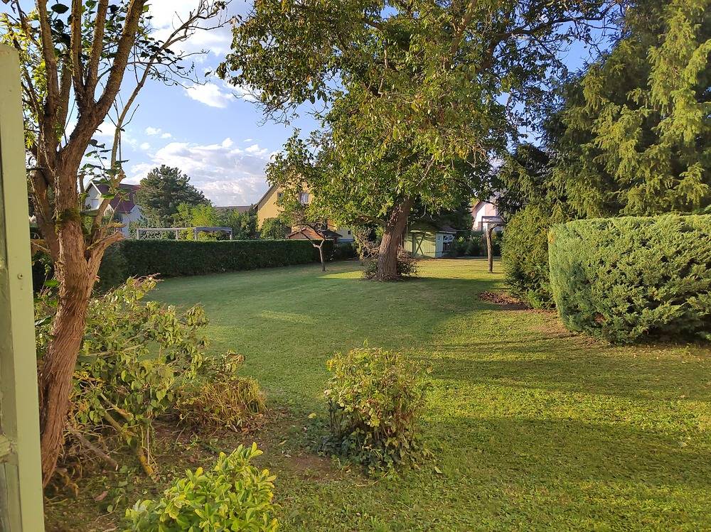 Entretien- espace- vert -Belfort  (10)