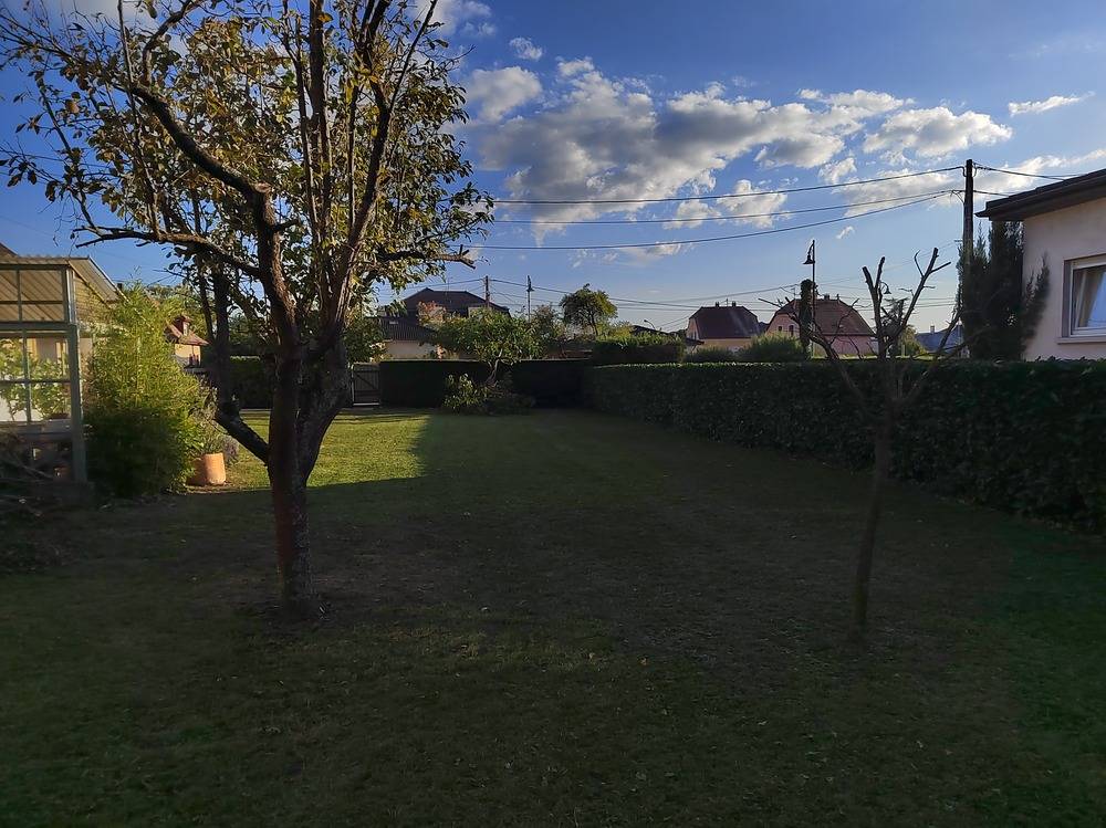 Entretien- espace- vert -Belfort  (12)