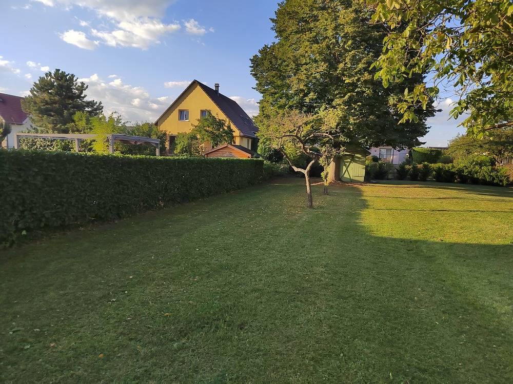 Entretien- espace- vert -Belfort  (13)