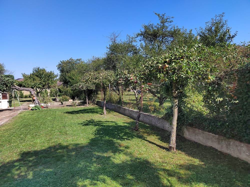 Entretien- espace- vert -Belfort  (17)