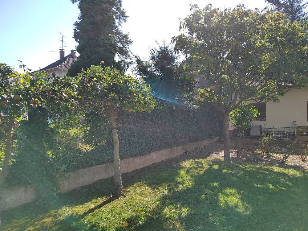 Entretien- espace- vert -Belfort  (19)