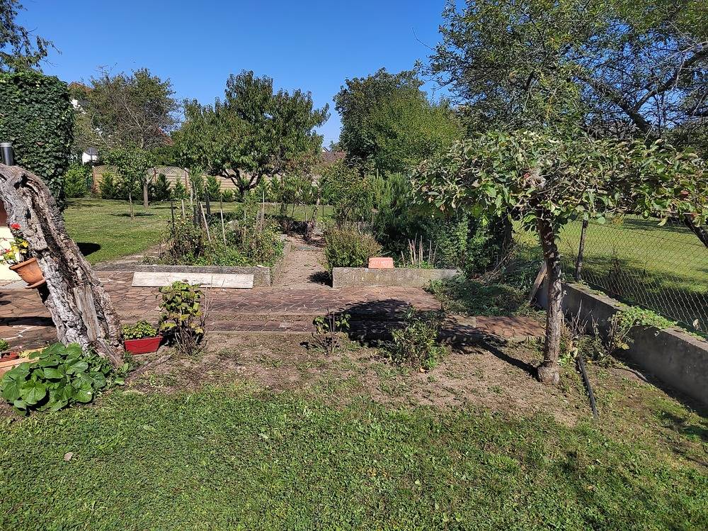 Entretien- espace- vert -Belfort  (20)