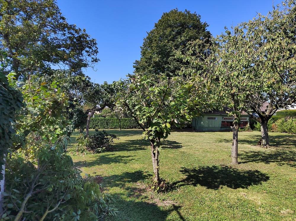Entretien- espace- vert -Belfort  (22)