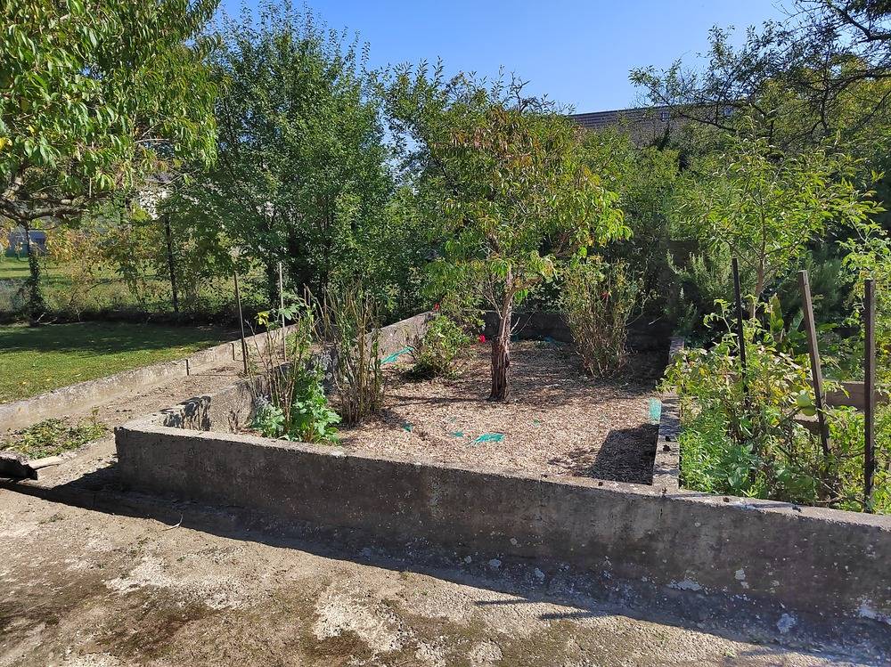 Entretien- espace- vert -Belfort  (24)