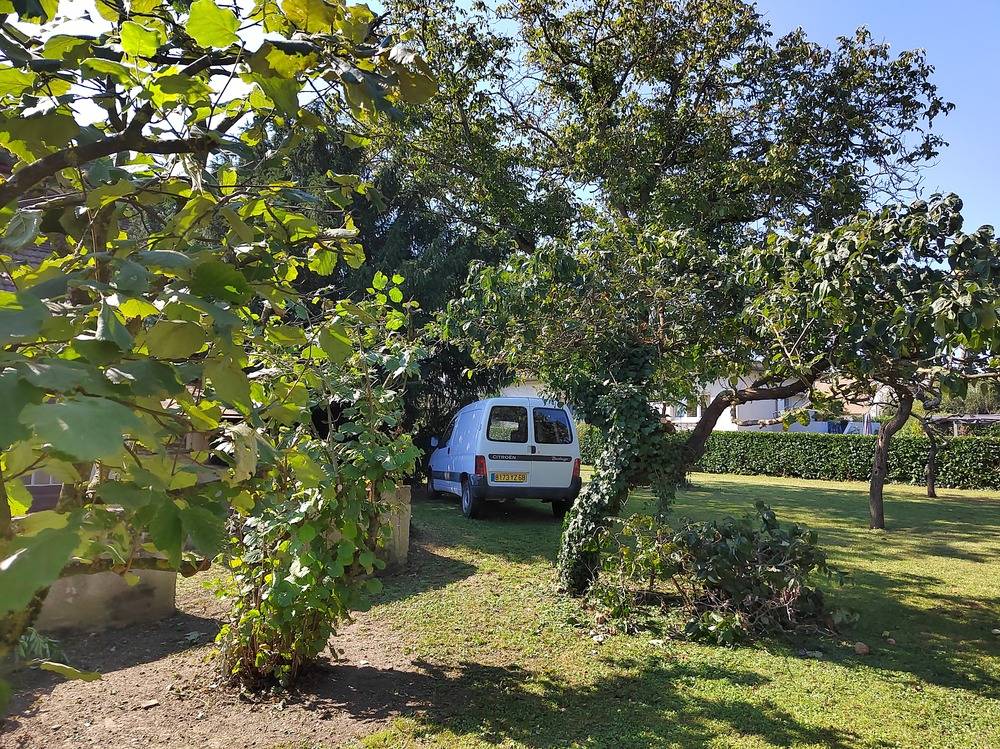 Entretien- espace- vert -Belfort  (25)