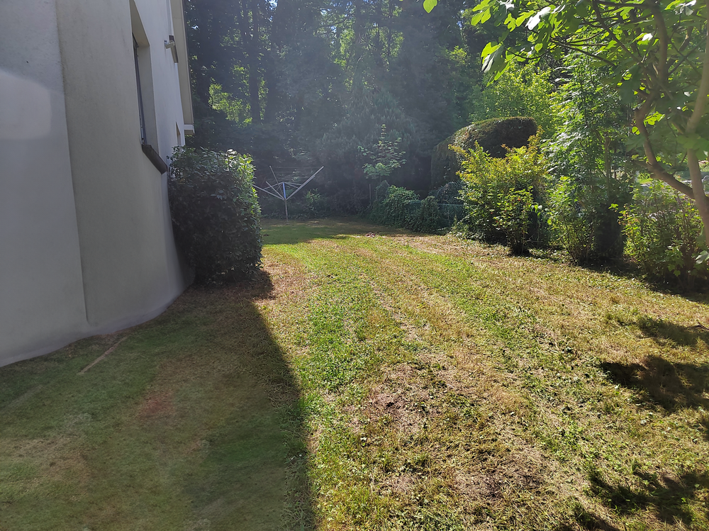 Entretien- espace- vert -Belfort  (1)