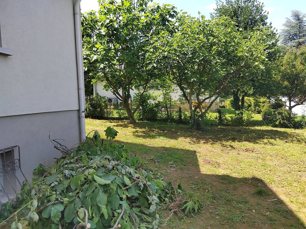 Entretien- espace- vert -Belfort  (5)