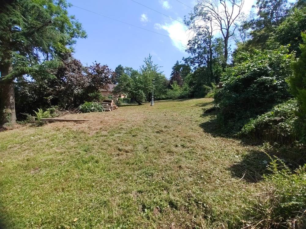 Entretien- espace- vert -Belfort  (12)