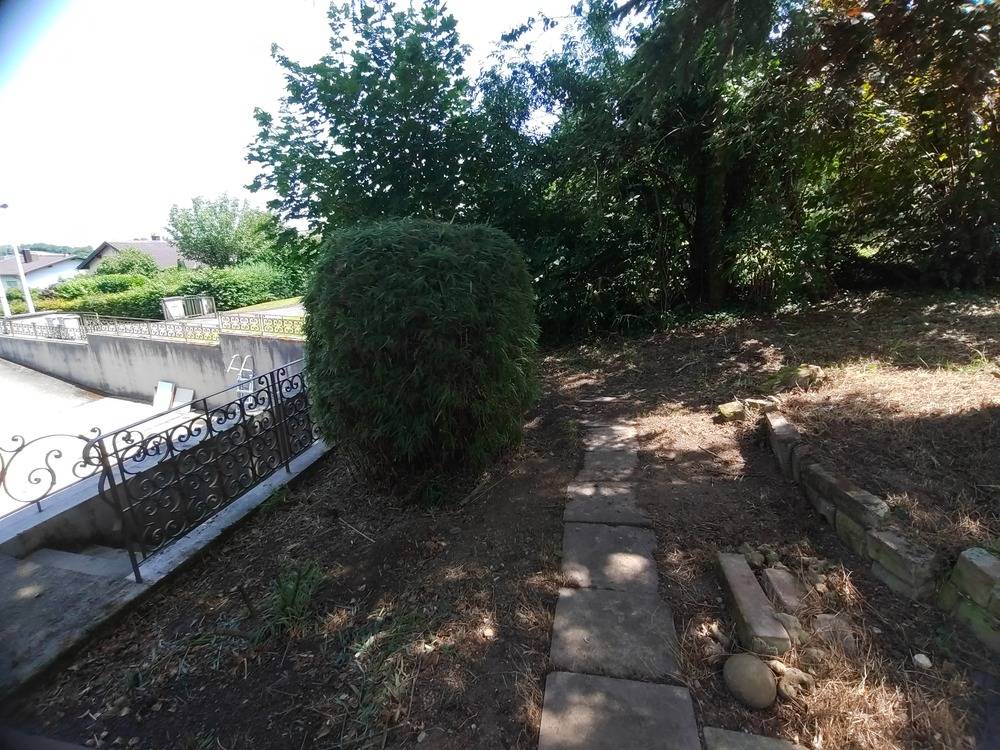 Entretien- espace- vert -Belfort  (15)