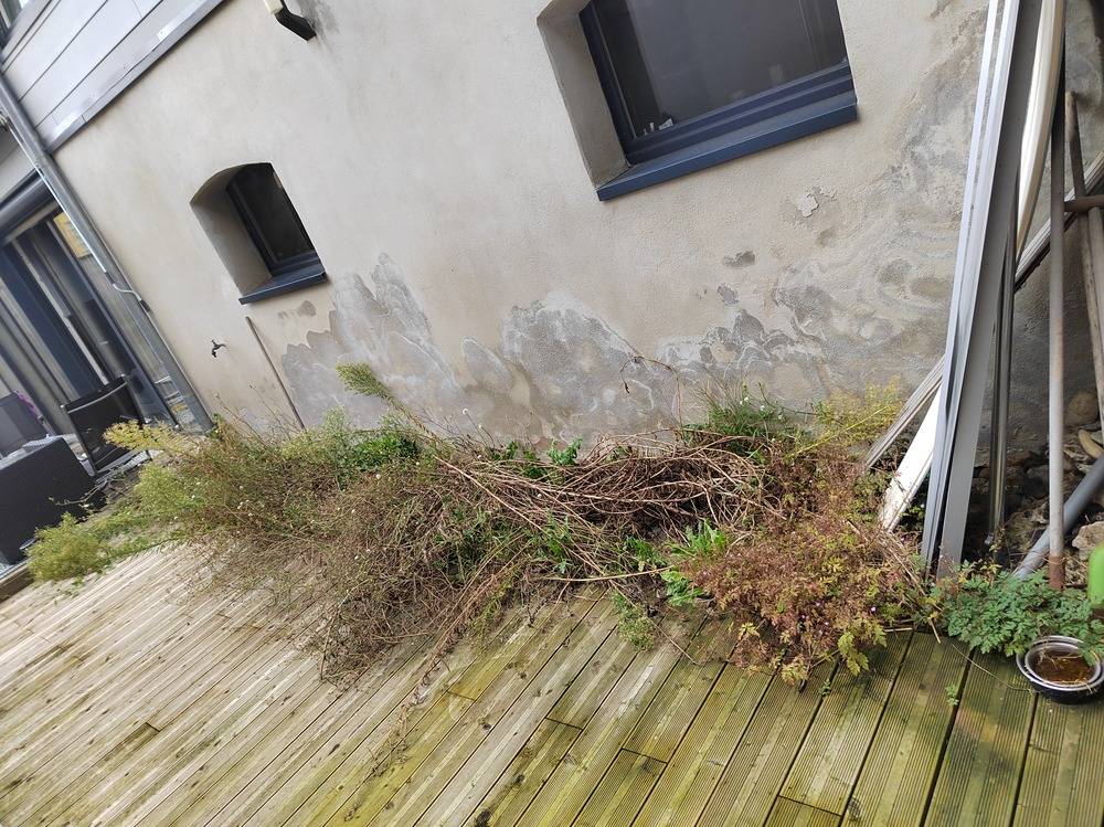 Entretien- espace- vert -Belfort  (1)