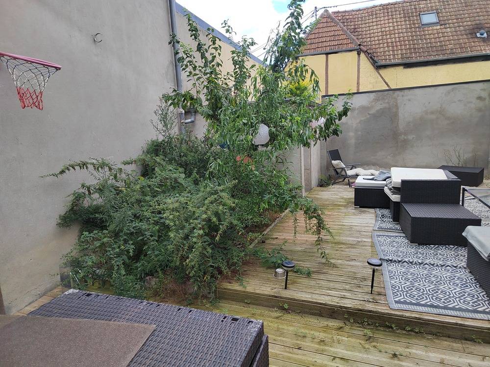 Entretien- espace- vert -Belfort  (3)