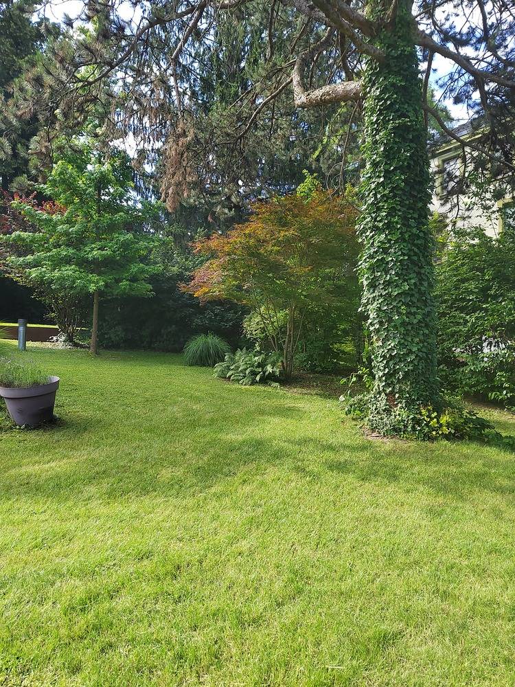 Entretien- espace- vert -Belfort  (4)