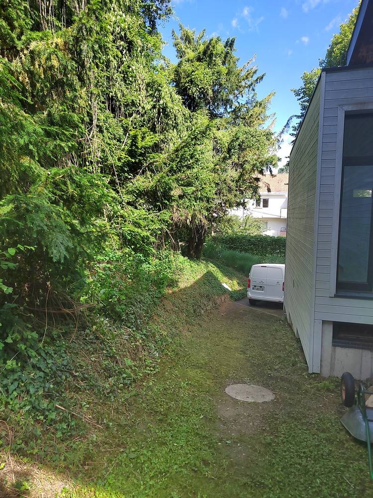 Entretien- espace- vert -Belfort  (5)