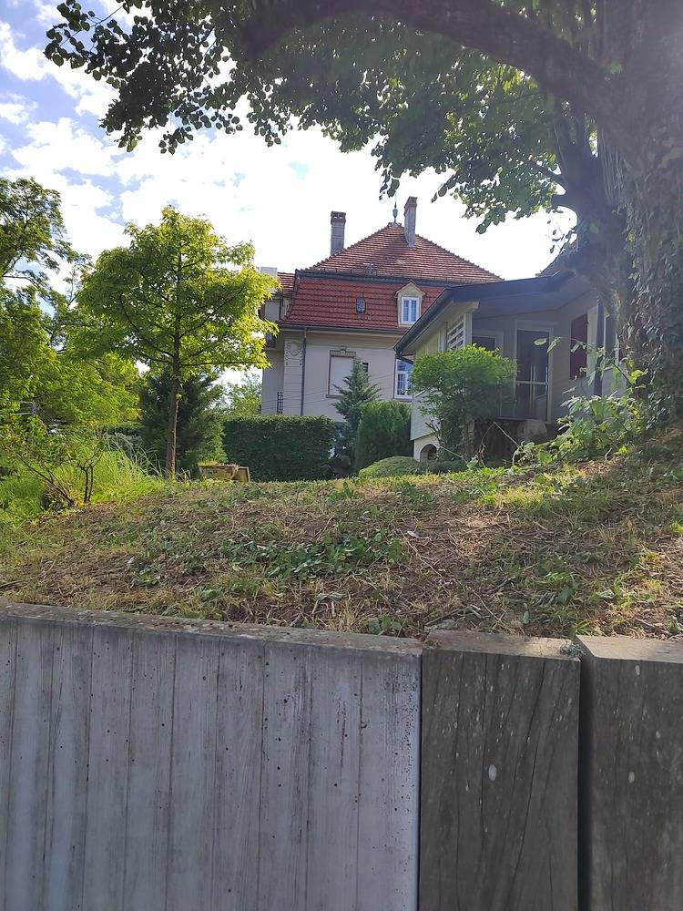 Entretien- espace- vert -Belfort  (8)