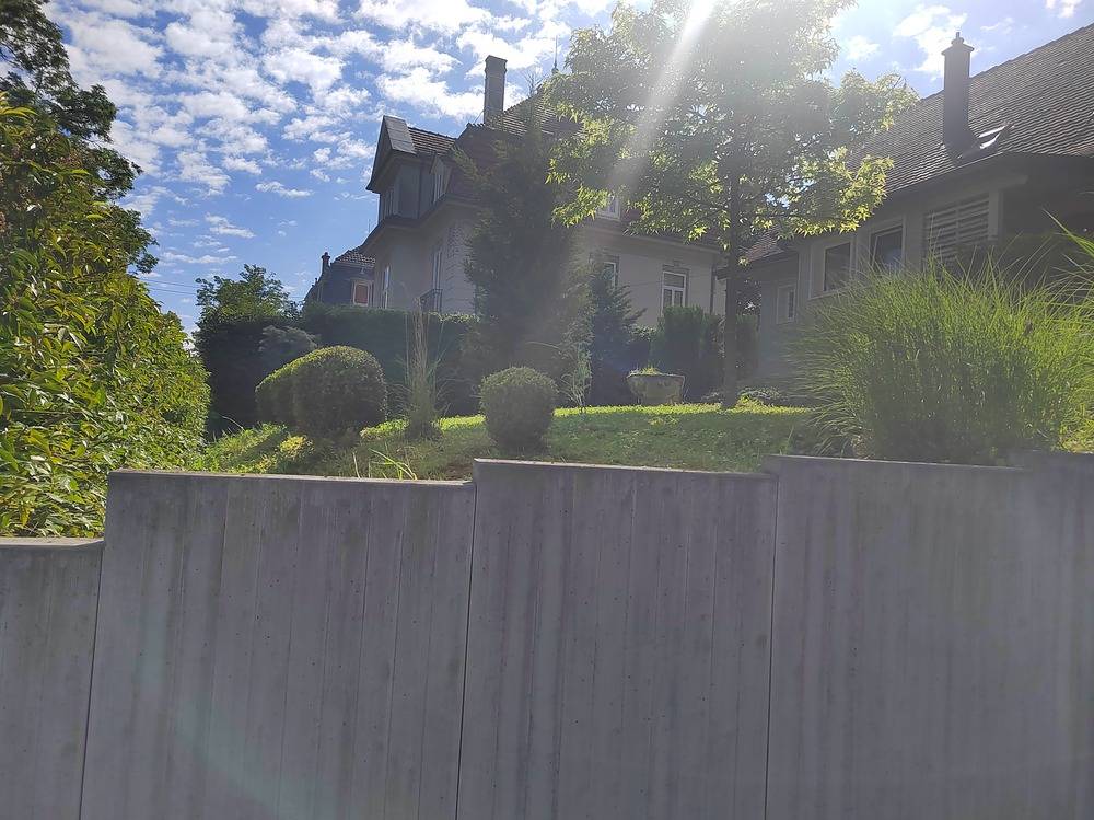 Entretien- espace- vert -Belfort  (11)