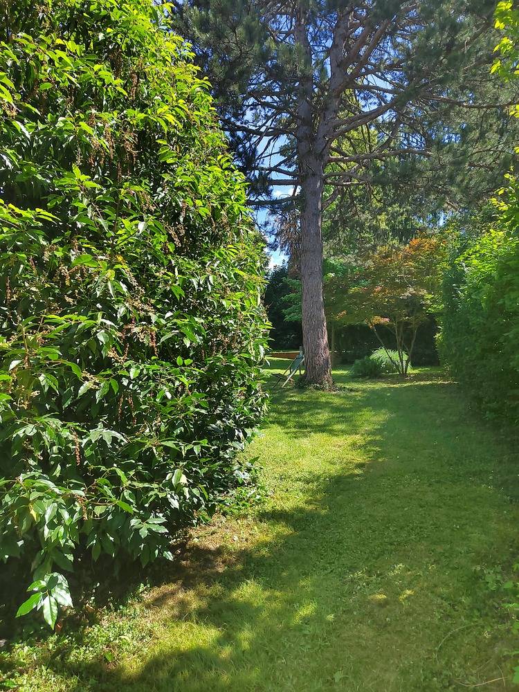 Entretien- espace- vert -Belfort  (14)