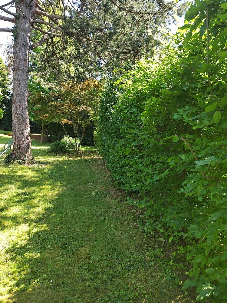 Entretien- espace- vert -Belfort  (15)