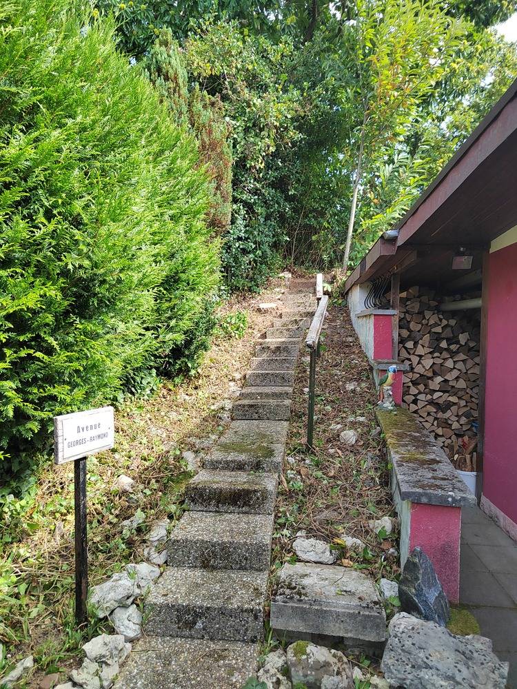 Entretien- espace- vert -Belfort  (4)