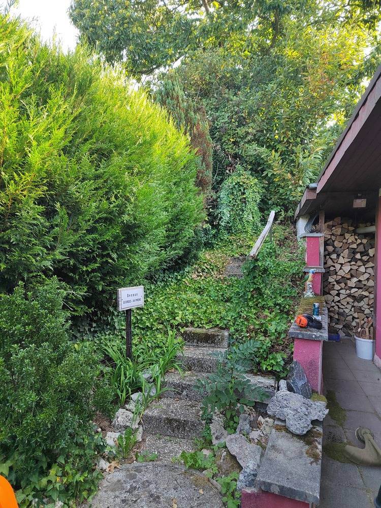 Entretien- espace- vert -Belfort  (1)