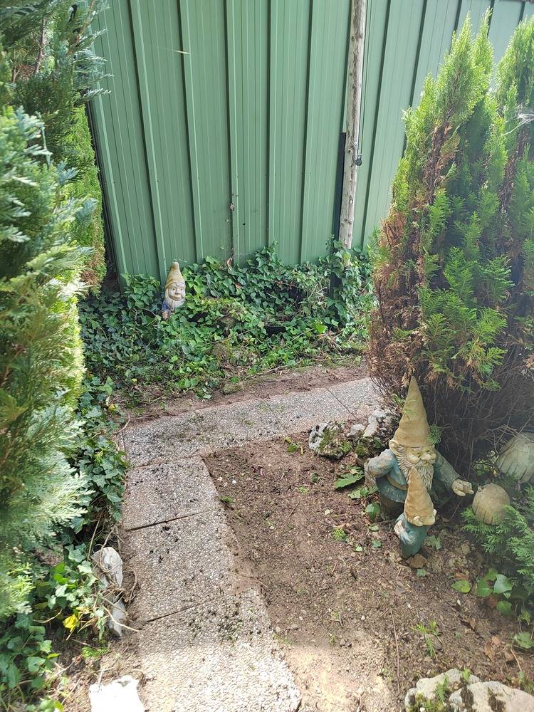 Entretien- espace- vert -Belfort  (6)