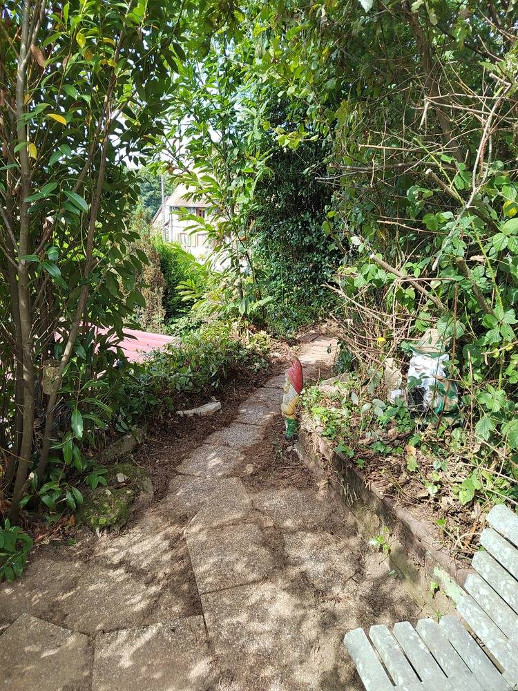 Entretien- espace- vert -Belfort  (7)
