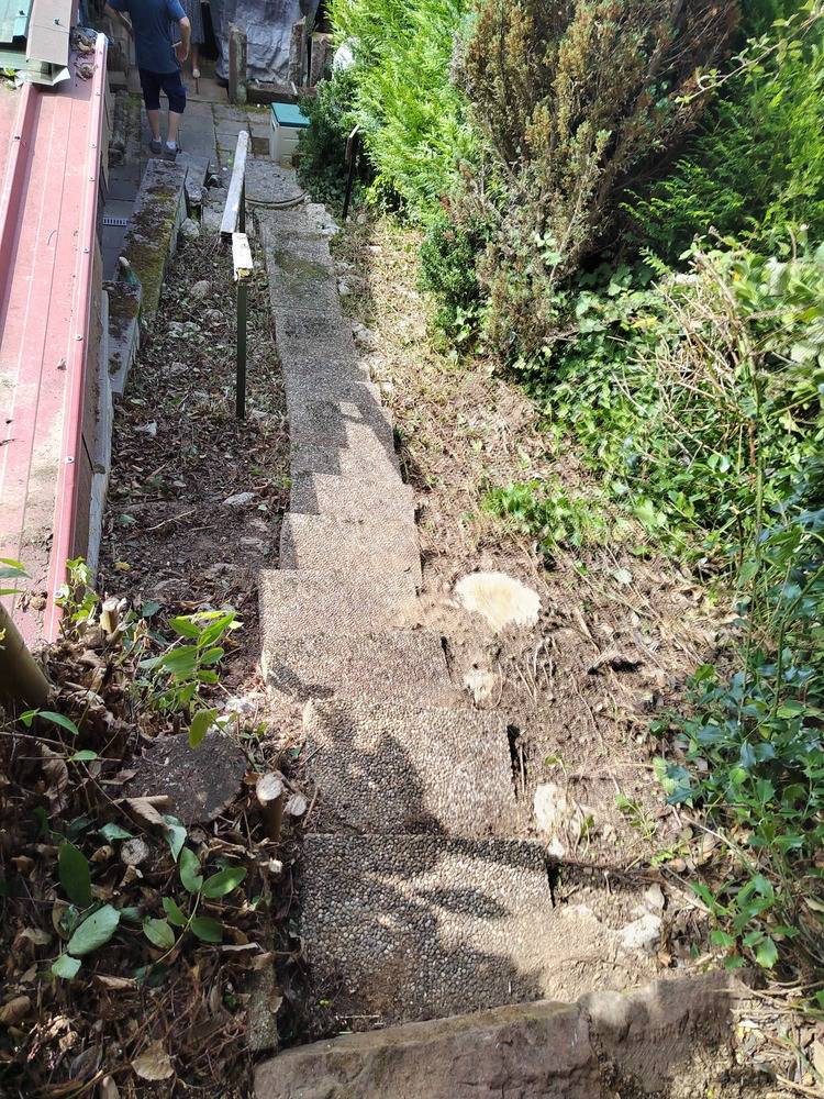 Entretien- espace- vert -Belfort  (8)