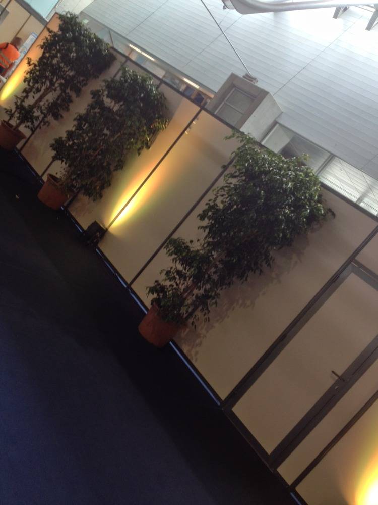 Montage- stands- Journee- D'octobre- Mulhouse (83)